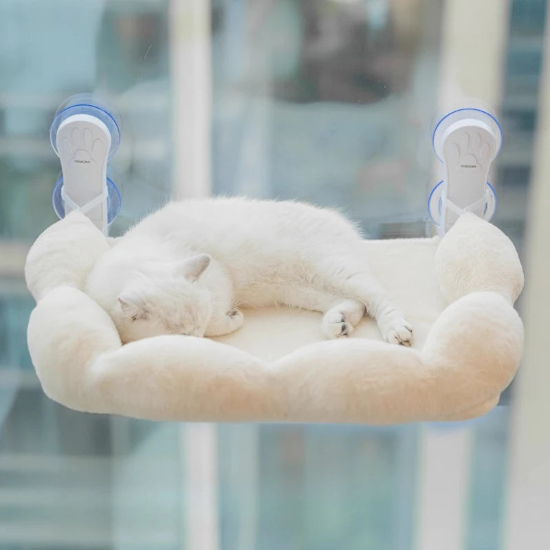 S219dc2695cda401ab0a50ca555ff6867j