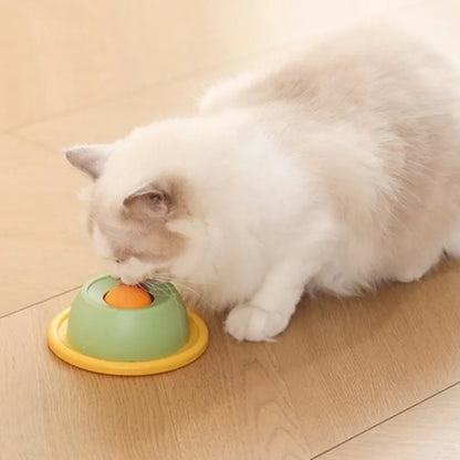 S33ab2d7bcc934e299cdc0d9036fea8bfy