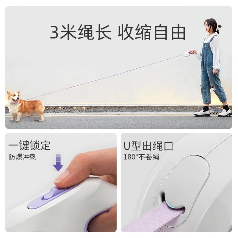 S84d69e4b40594abea88b5fbb3d5c9977A