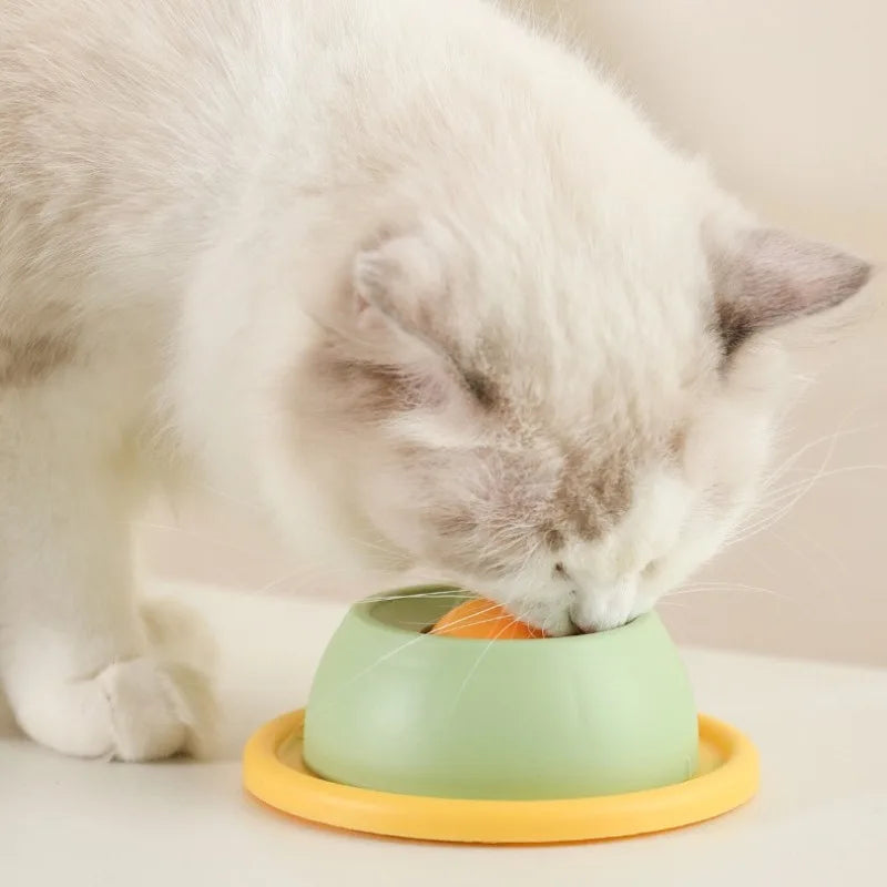 Sbfbb56d3c82149d081ab08421b5794f2y